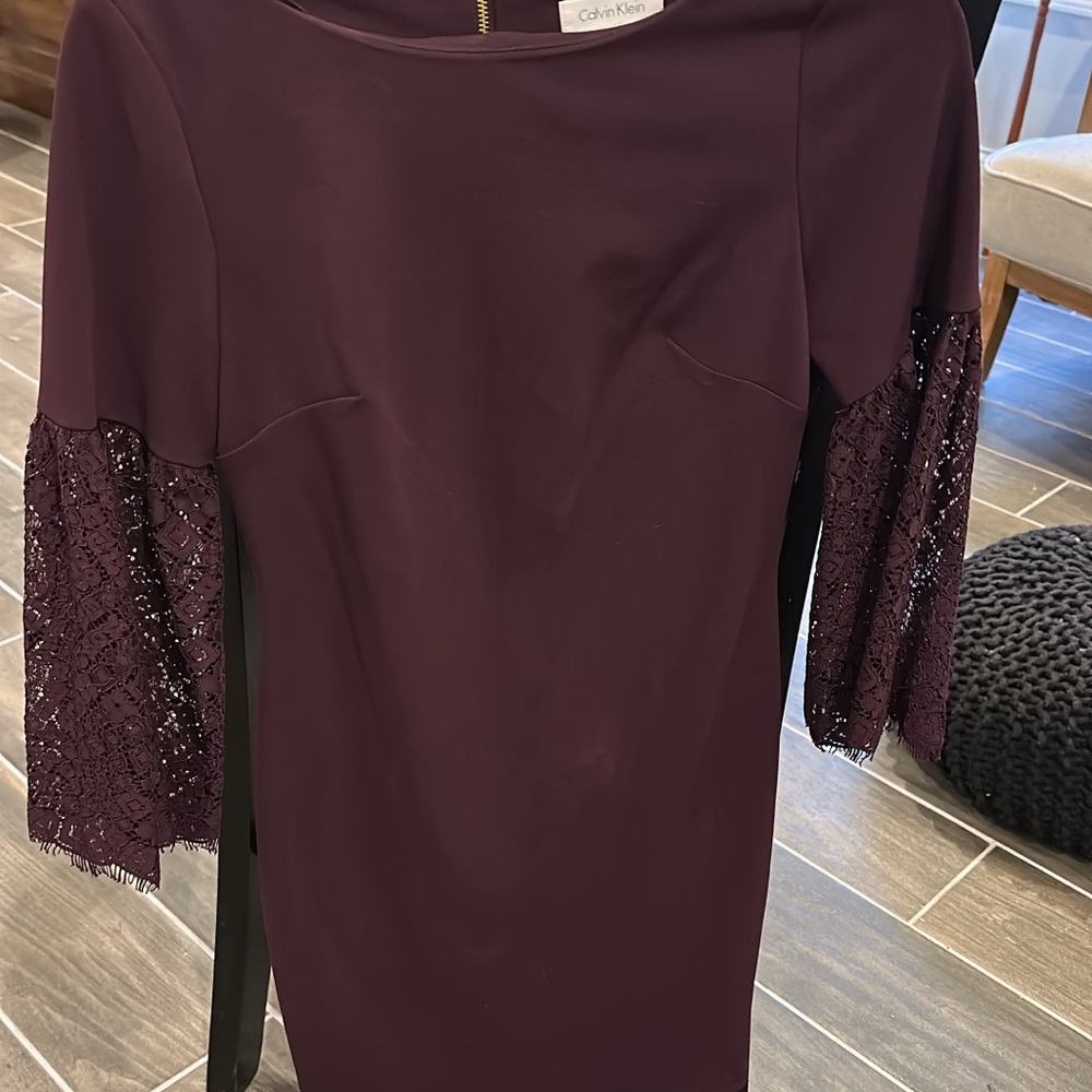 Calvin Klein Women's Deep Purple Dress with Lace Sleeves